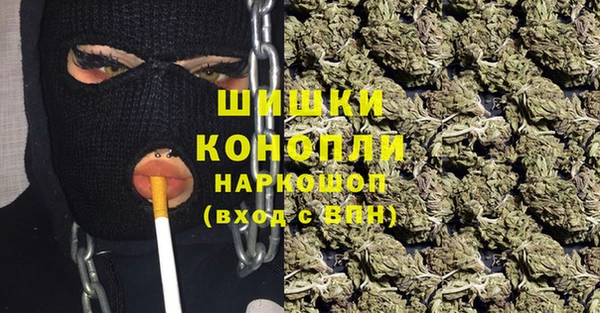 дмт Арсеньев